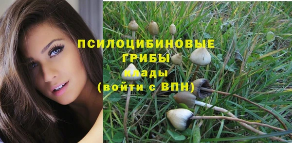 mdpv Лиски