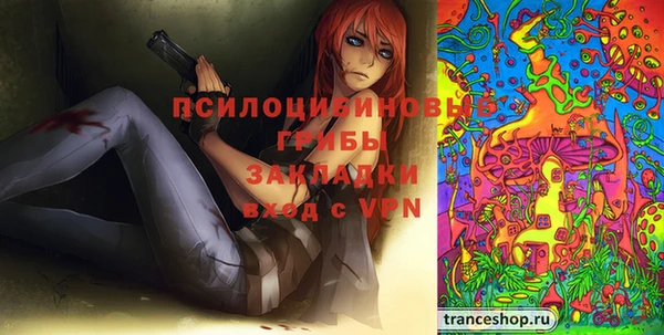 мдпв Лихославль