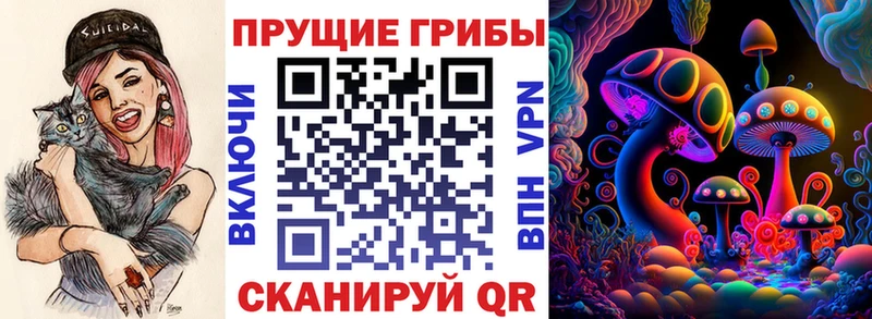 где можно купить наркотик Серафимович Галлюциногенные грибы MAGIC MUSHROOMS
